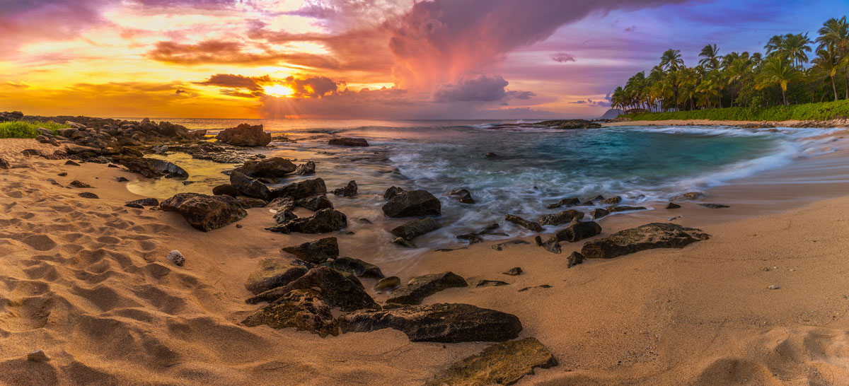 Kakaako Property Management