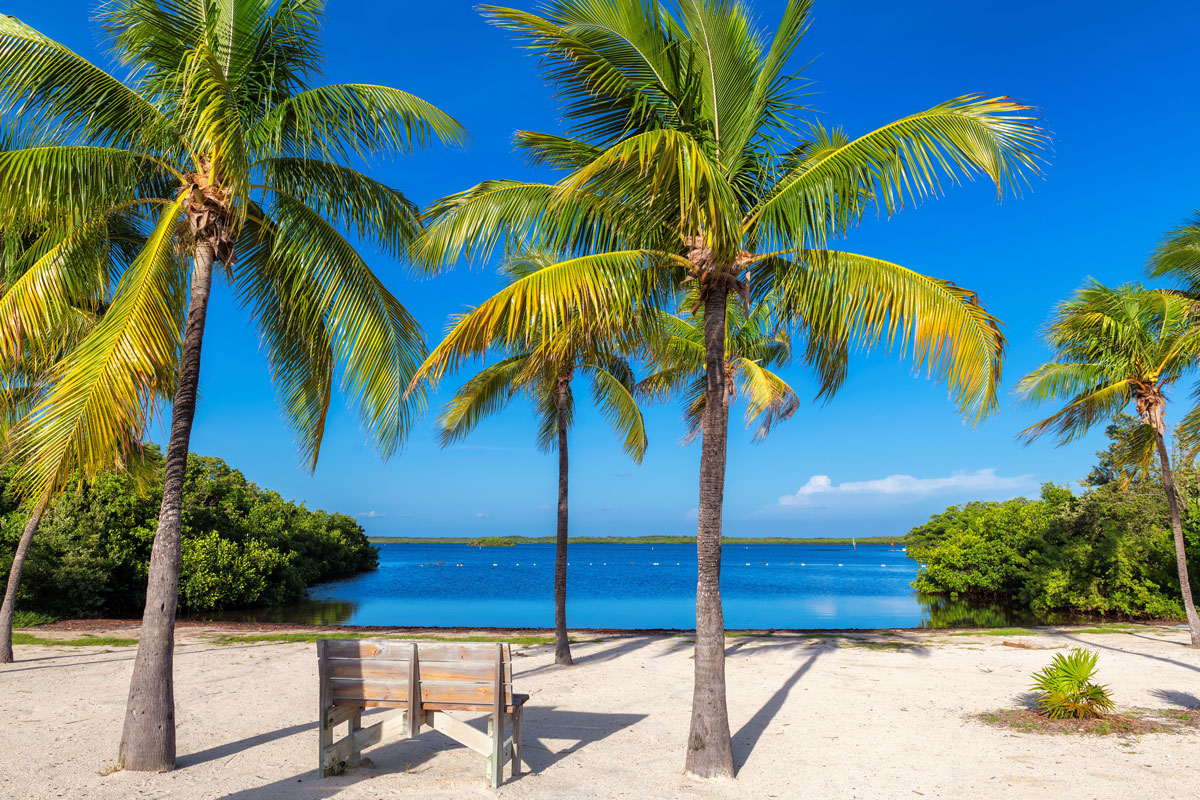 Kaneohe Property Management